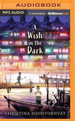 A Wish in the Dark 1799731316 Book Cover