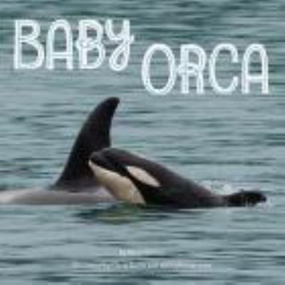 Baby Orca 1484470257 Book Cover