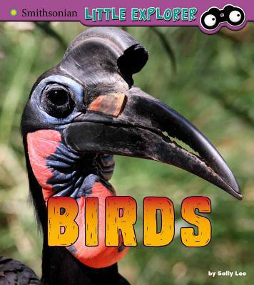 Birds: A 4D Book 1543526438 Book Cover
