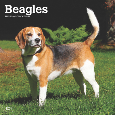 Beagles 2025 12 X 24 Inch Monthly Square Wall C... 1975476611 Book Cover