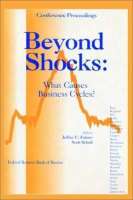 Beyond Shocks: What Causes Business Cycles 0894991256 Book Cover