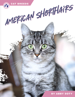 American Shorthairs B0D8W92J1R Book Cover
