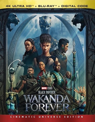 Black Panther: Wakanda Forever B0BRYB43MG Book Cover