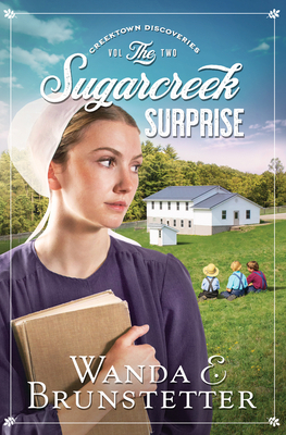 The Sugarcreek Surprise: Volume 2 1643529226 Book Cover