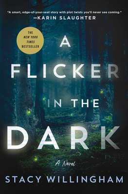 A Flicker in the Dark 1250803829 Book Cover