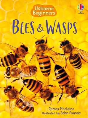 Bees and Wasps 1835409776 Book Cover