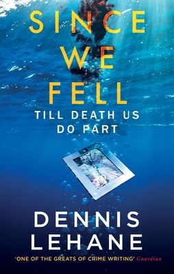 Since We Fell 0349142246 Book Cover