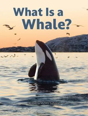 What Is a Whale? B0G86YPF7K Book Cover