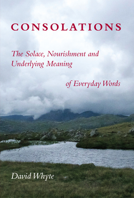 Consolations: The Solace, Nourishment and Under... 1932887342 Book Cover