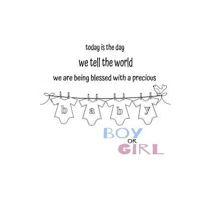 Today is the day we tell the world! Gender Reve... 1548651508 Book Cover