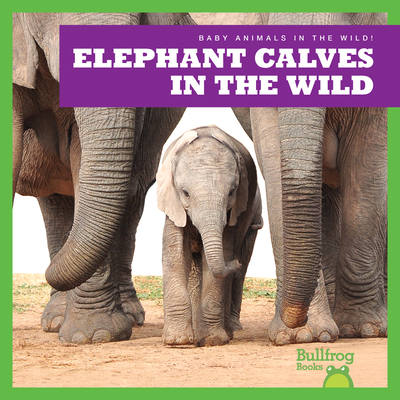 Elephant Calves in the Wild B0BFVCL9TJ Book Cover