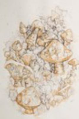 Paperback Coffee Art Notebook Book