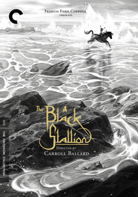 The Black Stallion B00W6OFHZQ Book Cover