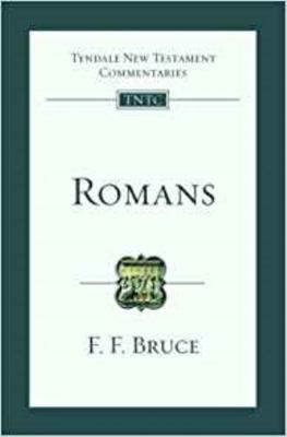 Romans: An Introduction And Survey 1844742725 Book Cover