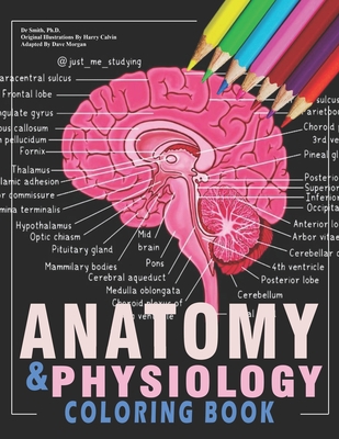 Anatomy And Physiology Coloring Book: The Ultimate Anatomy And Physiology Study Guide For Beginners !