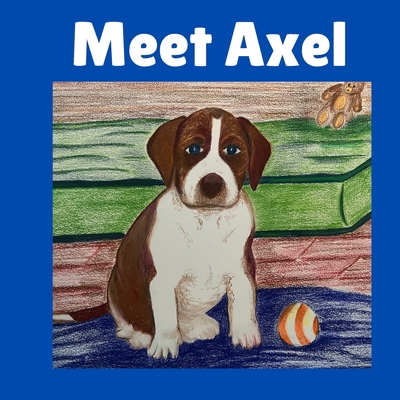 Meet Axel B0DMP2T714 Book Cover