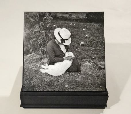 Hardcover Catalin Valentin's Lamb Book