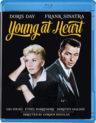 Young At Heart            Book Cover