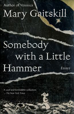 Somebody with a Little Hammer: Essays 1101871776 Book Cover