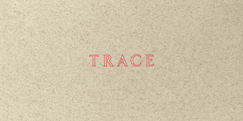 Jenny Holzer: Trace 0892075651 Book Cover