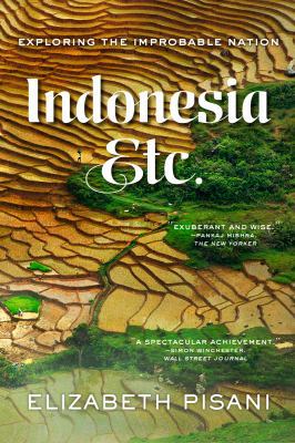 Indonesia Etc.: Exploring the Improbable Nation 0393351270 Book Cover