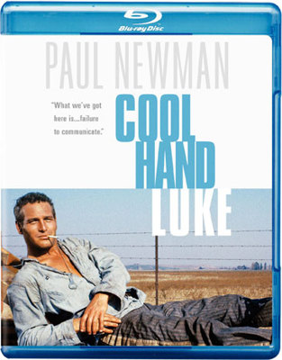 Cool Hand Luke Book Cover