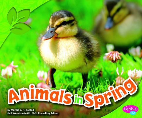 Animals in Spring 1429686553 Book Cover
