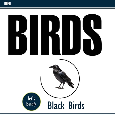 Black birds 1738538435 Book Cover