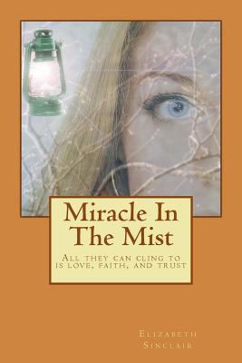 Miracle In The Mist 1623900107 Book Cover