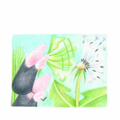 The Mole Sisters and Cool Breeze 1550377701 Book Cover