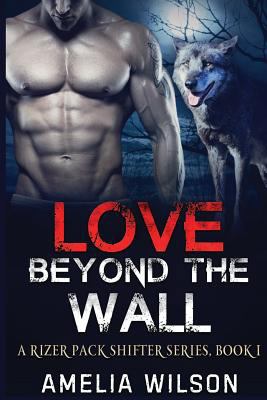 Love Beyond the Wall 1544793693 Book Cover