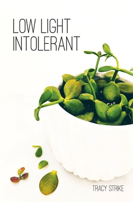 Low Light Intolerant 1067411100 Book Cover