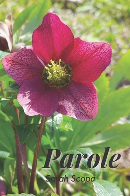 Parole [Italian] B0BZ2118J3 Book Cover
