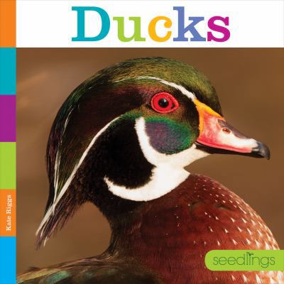Ducks 1628325976 Book Cover