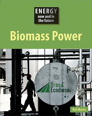 Biomass Power 1599203375 Book Cover