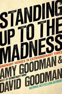 Standing Up to the Madness: Ordinary Heroes in ... 1401322883 Book Cover