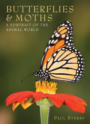 Butterflies & Moths: A Portrait of the Animal W... 1597643556 Book Cover