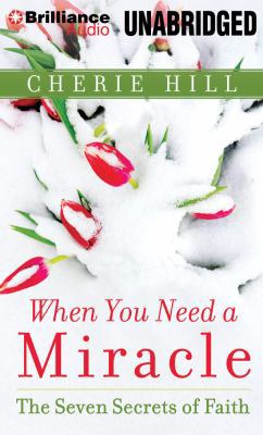 When You Need a Miracle: The Seven Secrets of F... 1480596523 Book Cover
