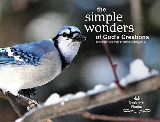 Hardcover Simple Wonders of God's Creations Book