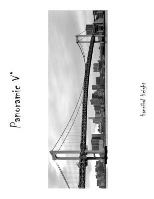 Panoramic V° 1291885048 Book Cover