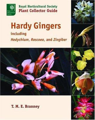 Hardy Gingers: Including Hedychium, Roscoea, an... 0881926779 Book Cover