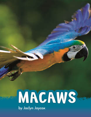 Macaws B0GN6P89C8 Book Cover