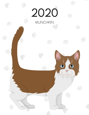 2020: Dated Weekly Planner With To Do Notes & C... 1706257783 Book Cover