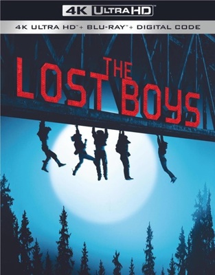 The Lost Boys Book Cover