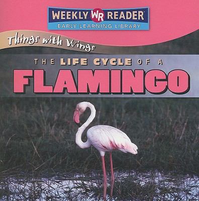 The Life Cycle of a Flamingo 0836863895 Book Cover