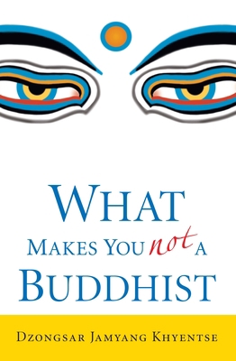 What Makes You Not a Buddhist 1590305701 Book Cover