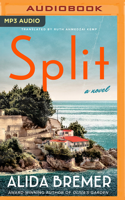 Split B0BRXMYGHL Book Cover
