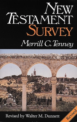 New Testament Survey 0802836119 Book Cover