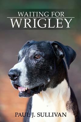 Waiting For Wrigley 0692272062 Book Cover