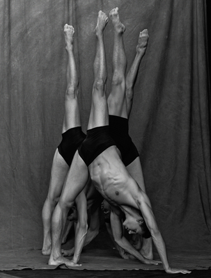 Matthew Brookes: Les Danseurs 8862084331 Book Cover